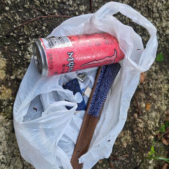 （こちらは登山道の清掃結果）掃除がされているのか、思ったより少なかった🫡