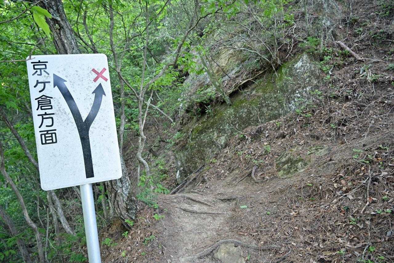 ×の方面踏み跡濃し　ダメって言われると行きたくなるやつ　良い子は登山道を行きましょう！