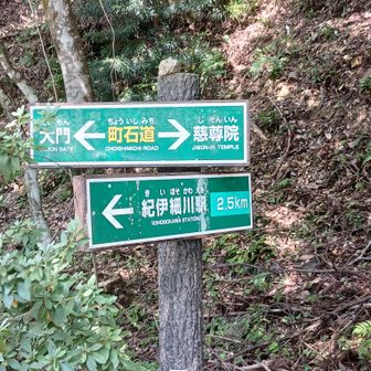 ここから町石道に入ります