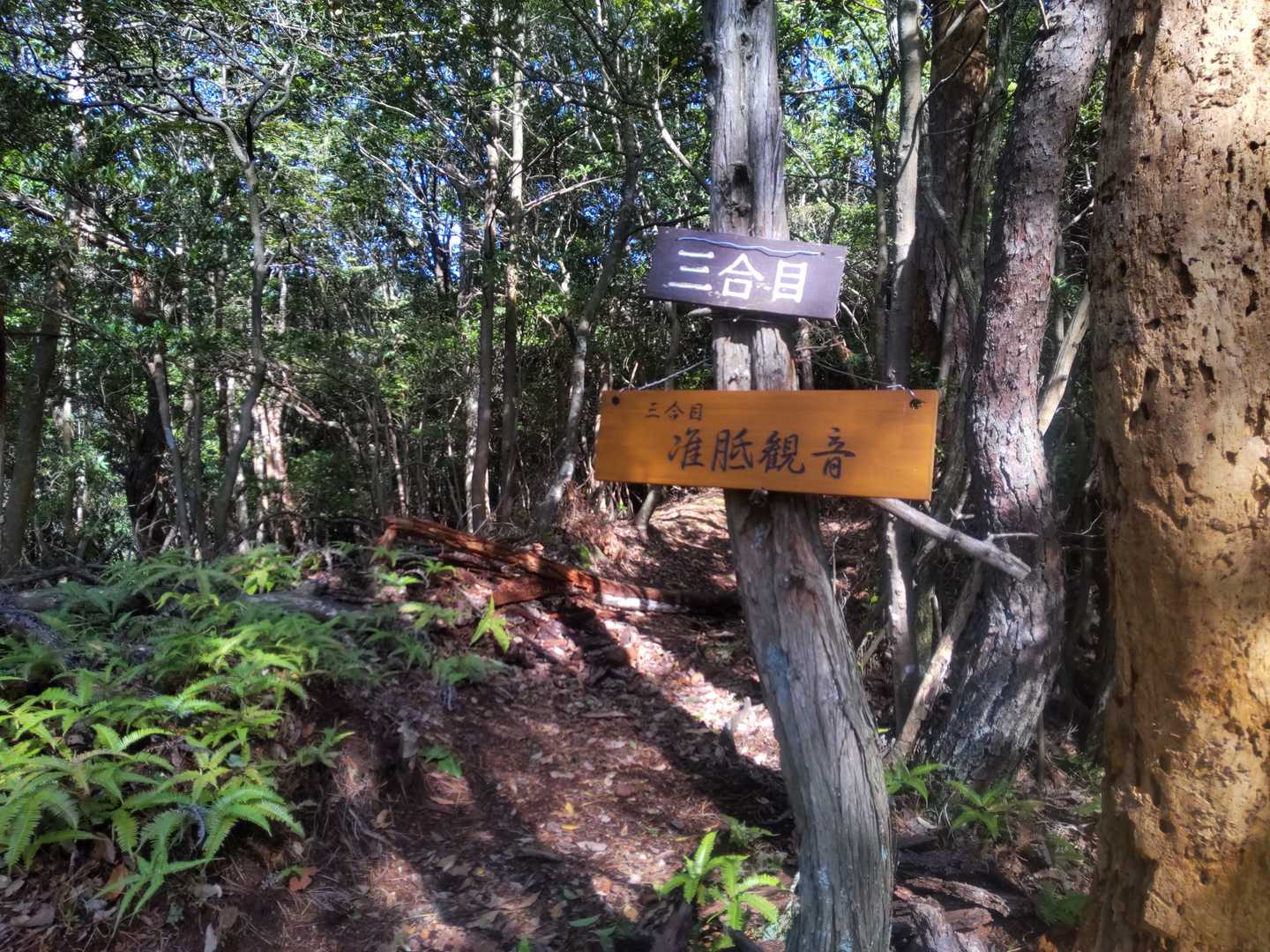 前半の山場、永遠の三合目🤣
予想以上に暑い
もっと早起きすればよかった🥵