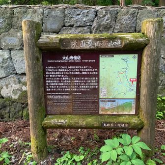 なるほど…勉強になります。