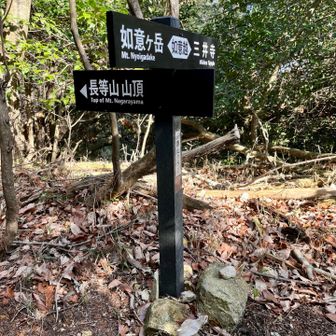 大文字山・如意ヶ嶽・稲荷山 長等山山頂への分岐点。