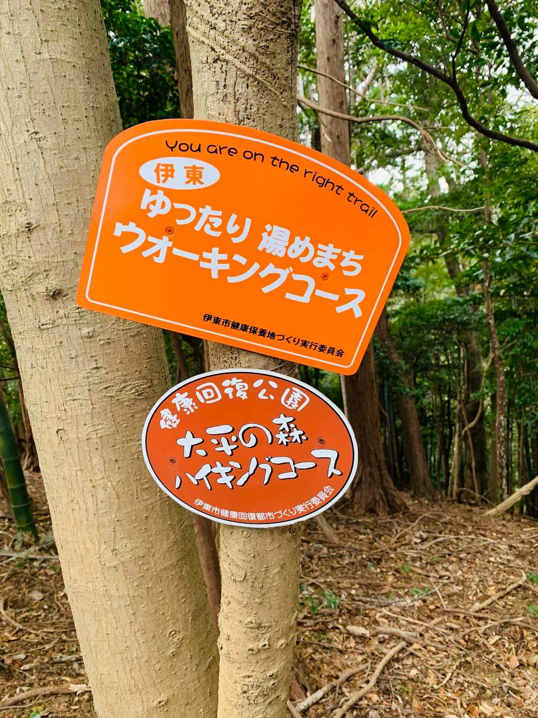 所々にありました