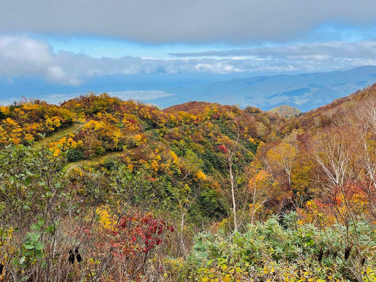 いい感じに紅葉🍁