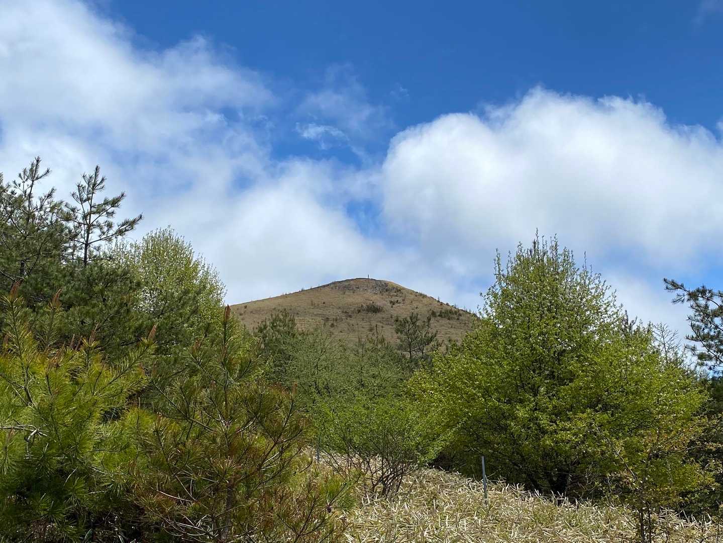 飯盛山が遠くに見えました。