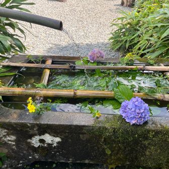 劔神社に帰ってきました
