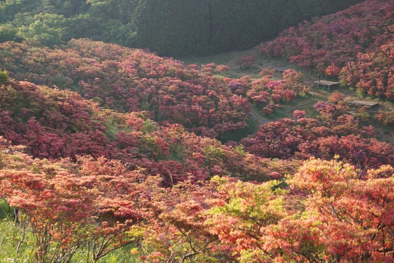 グラデーション