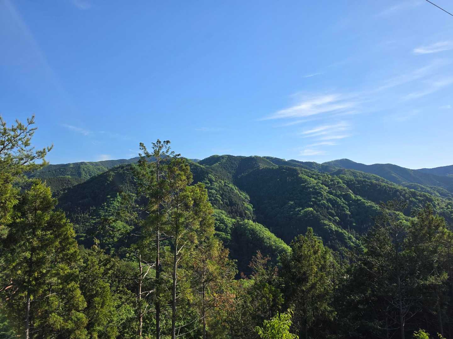 上河原バス停-金比羅山-鷹取山-小渕山-岩戸山 縦走コースの写真
