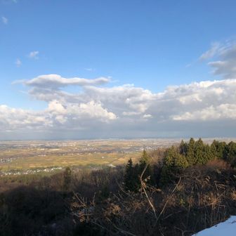 山頂から新潟市中心部を望む