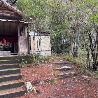 さらに右側から登っていく