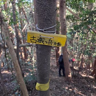 小さな案内板あり