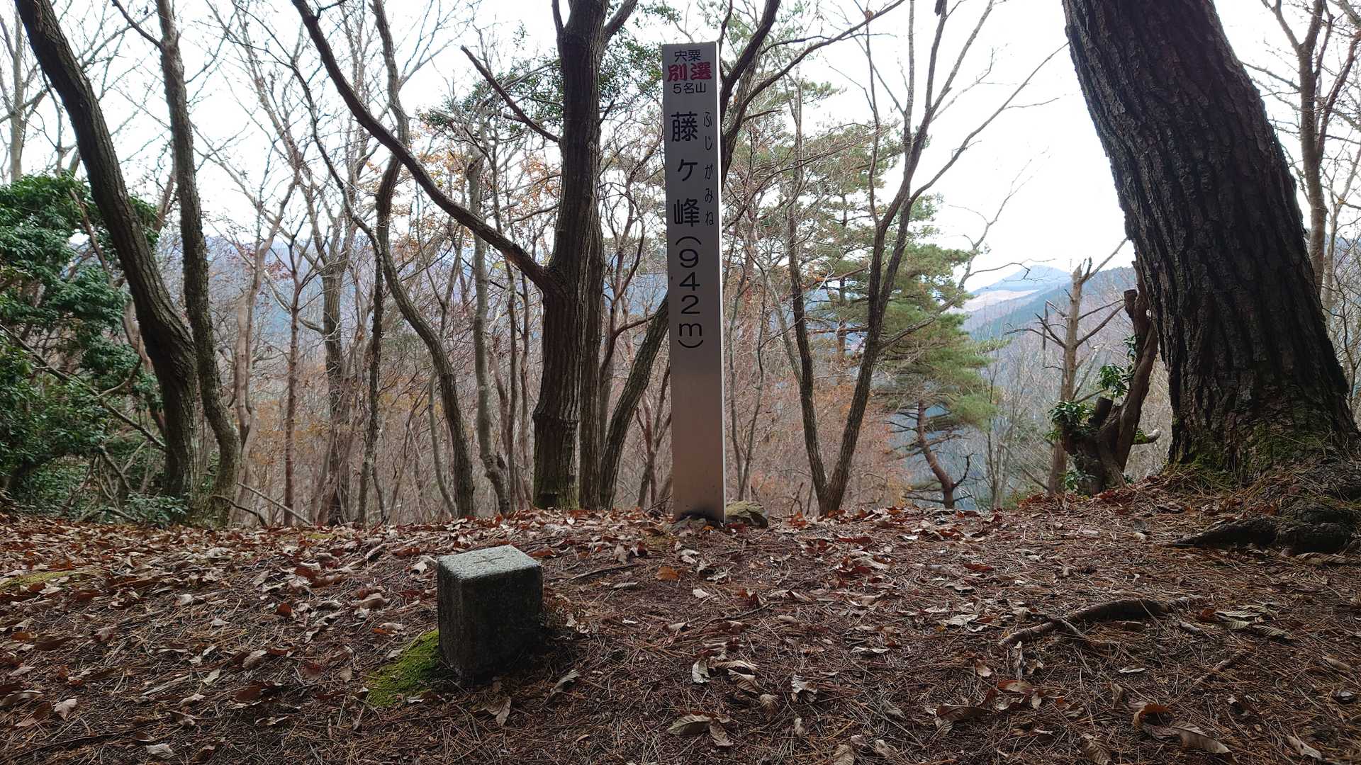 藤ヶ峰登頂です！
別選コンプリーーーッッットォォ！