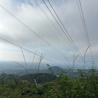 やっと展望　👀　甲山