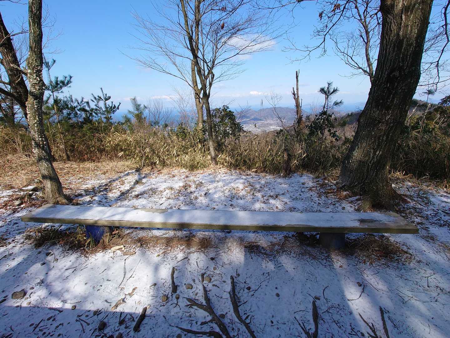 さむそーなベンチ