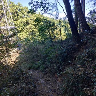何故かここに中沢山の標識があった