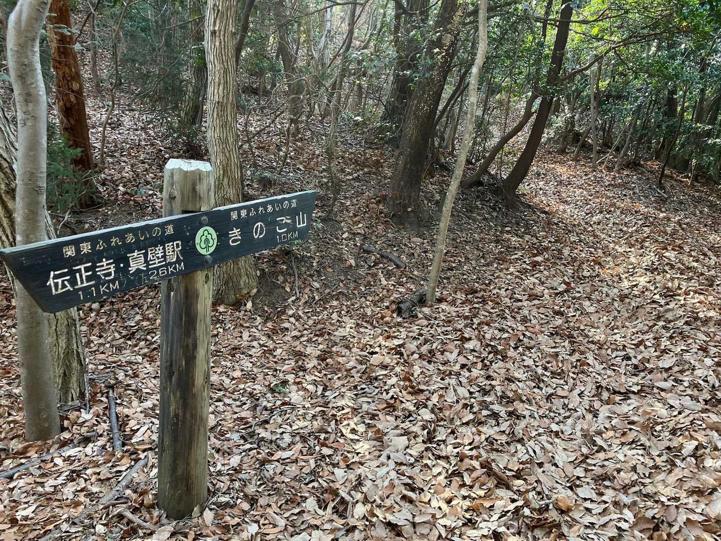 よしっ、目的地は、、、右➡️