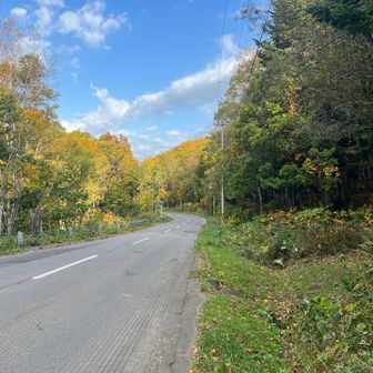 ちょうど駐車場付近が片側交互通行
この辺、飛ばす車も多いから路肩歩きは慎重に