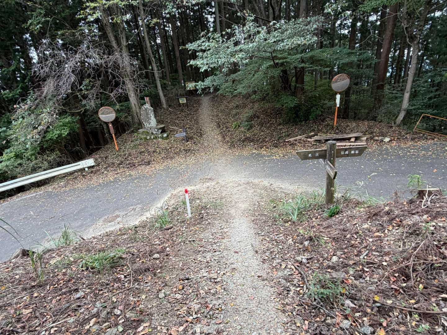 道路を横断して直進