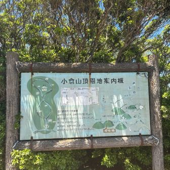 小倉山到着。