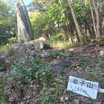 岩子山