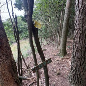 その後、小特牛山…あれっ⁉️さっき同じ山名が⁉️🤔
先程は小特牛岳って、山と岳だけの違い😅