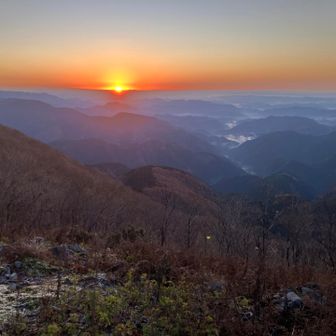 美しすぎます～