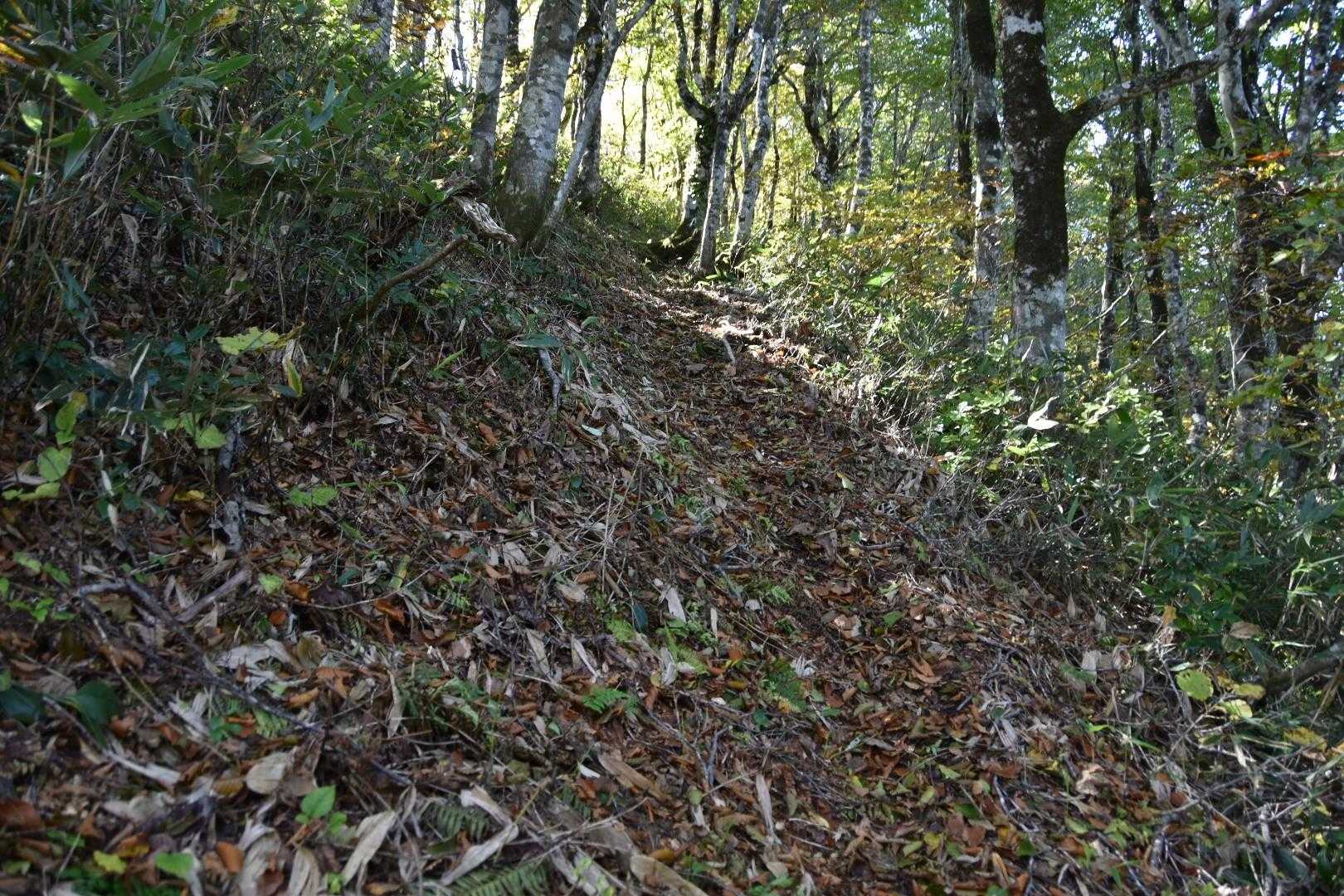 本日の夕方に全線刈り払い完了したとの事でした。
快適に歩けますね。
