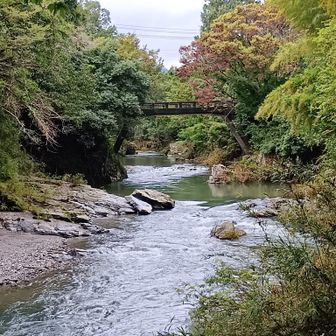 遠山口駐車場のすぐ横の渓谷です！