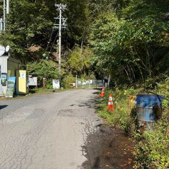 駐車場横の斜面から突然現れる形で無事ゲッザーン！