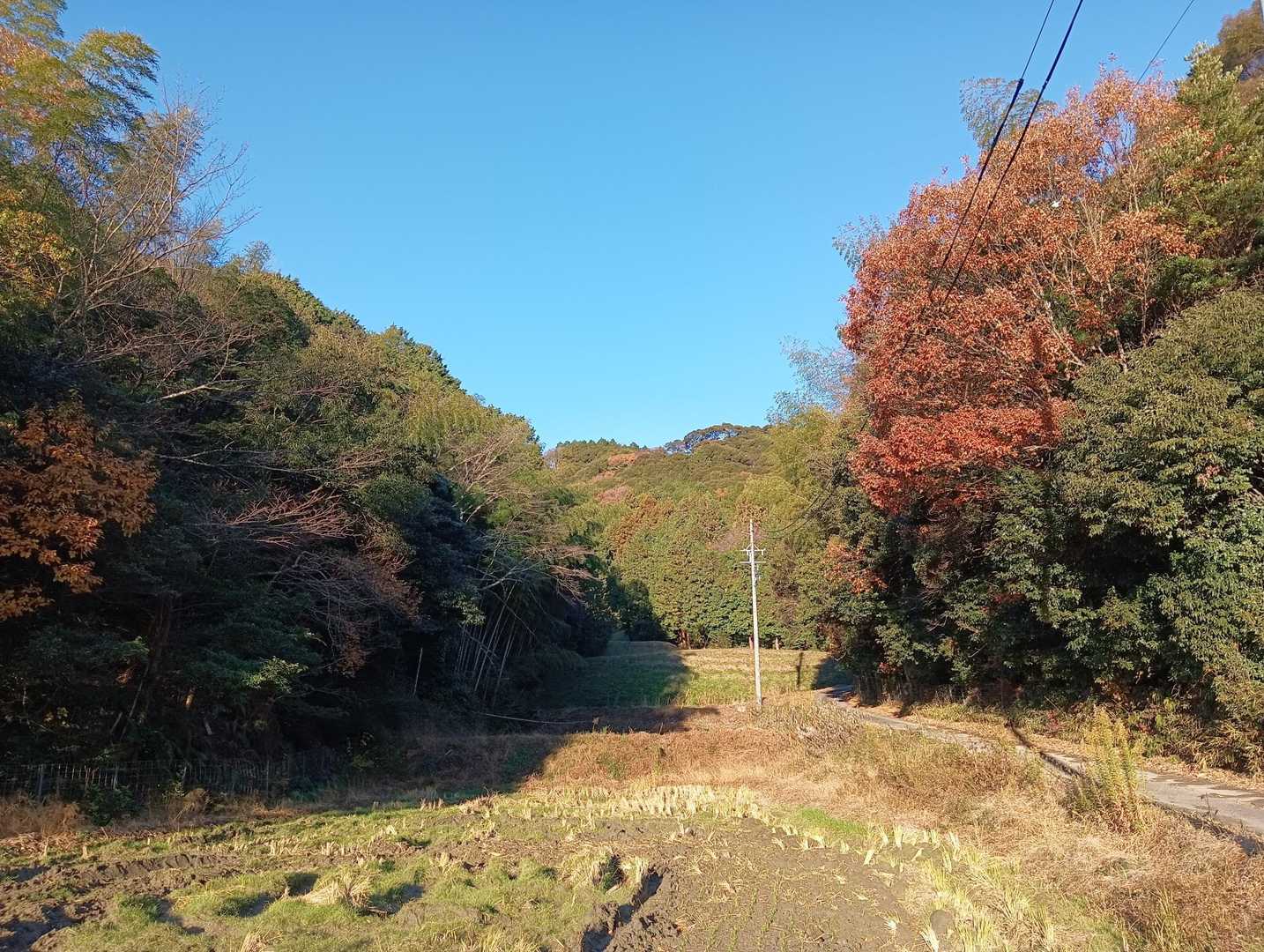 奥が城山（山中城趾）⛰️