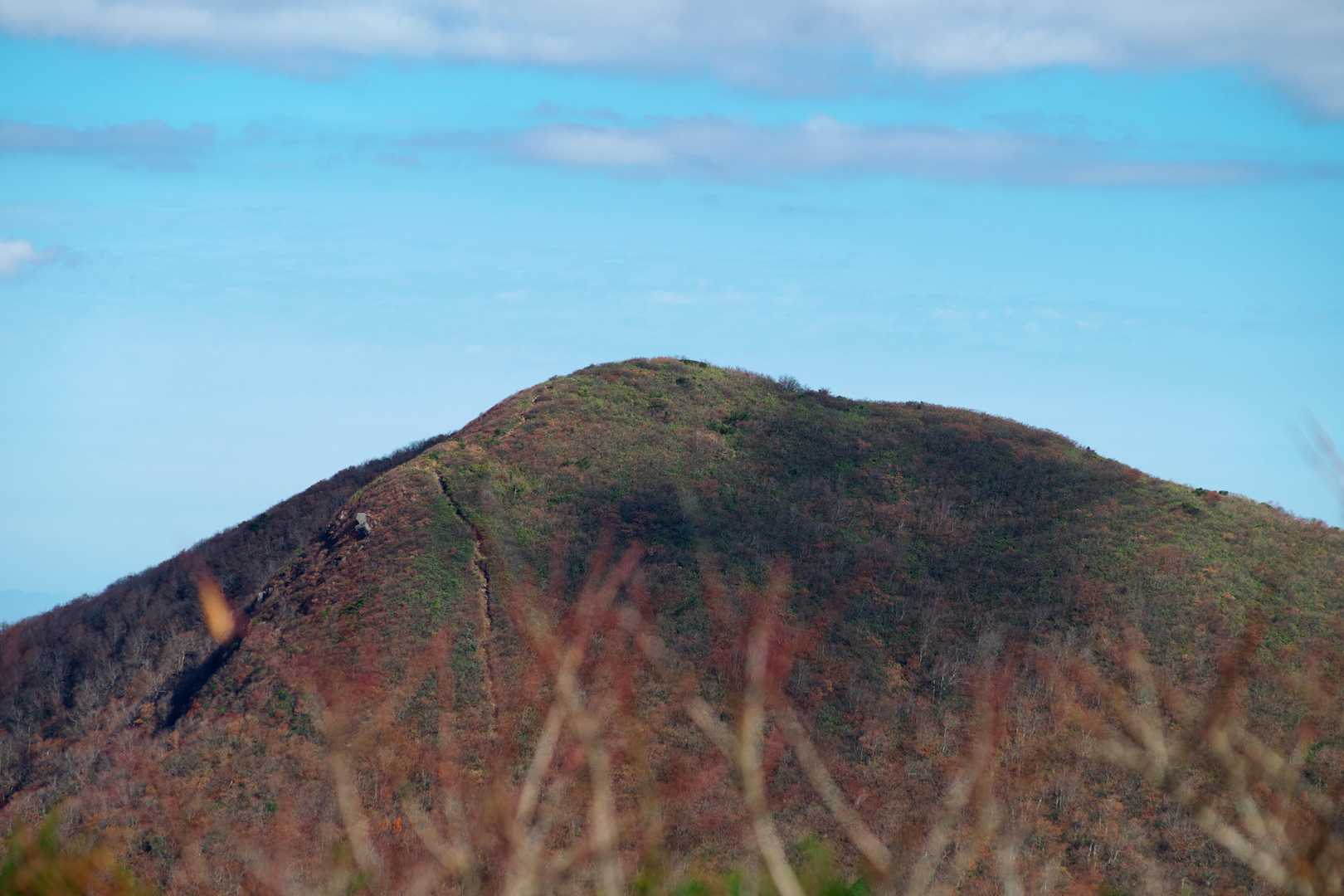 仙台神室岳には150ｍ下って、150ｍ登り返します😱