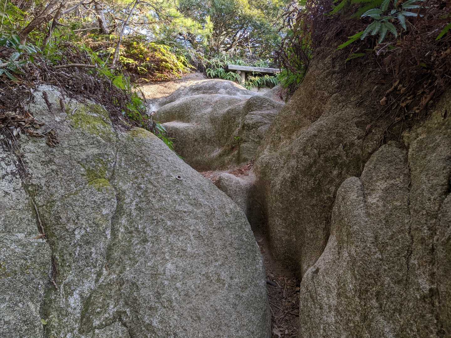 八天神社登山口-土器山-猿岳 往復コースの写真