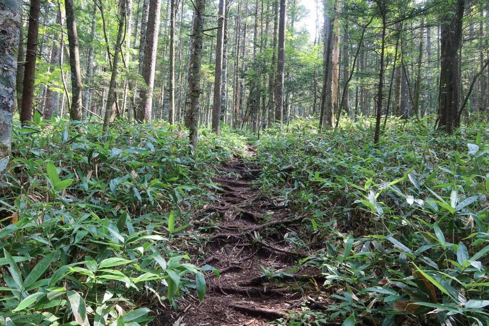 最初はなだらか