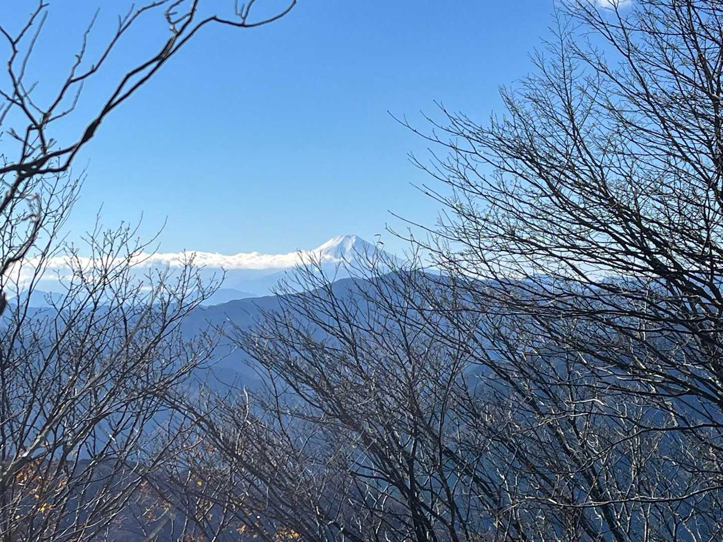 川苔山山頂からは富士山も望めました✨✨