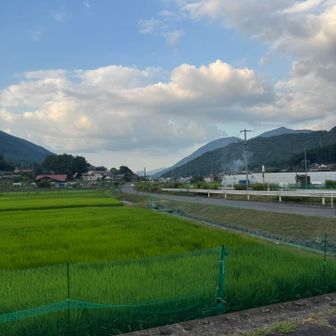 今日に限って車遠いっ🫨💦
ポツンとインプちゃん🚙
ご褒美買いに行こ〜🥺