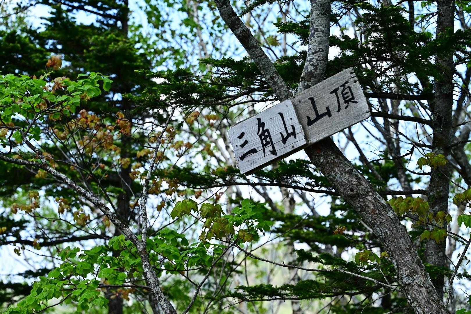 三角山着