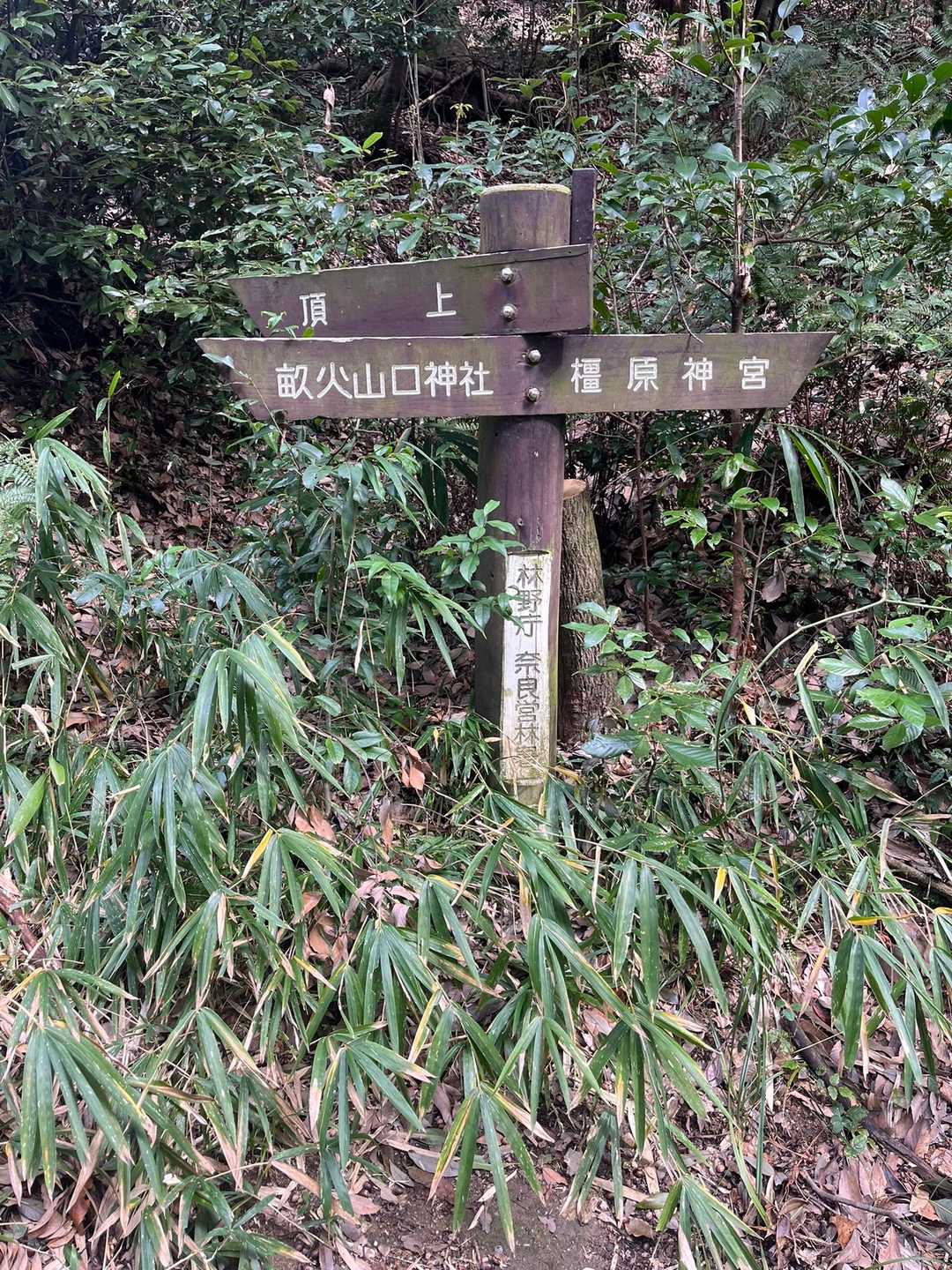 軽装でスニーカーでも大丈夫な道です
