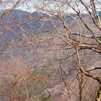 枯れ木に日射し
美しい🌥️
あつという間に日射しが消え