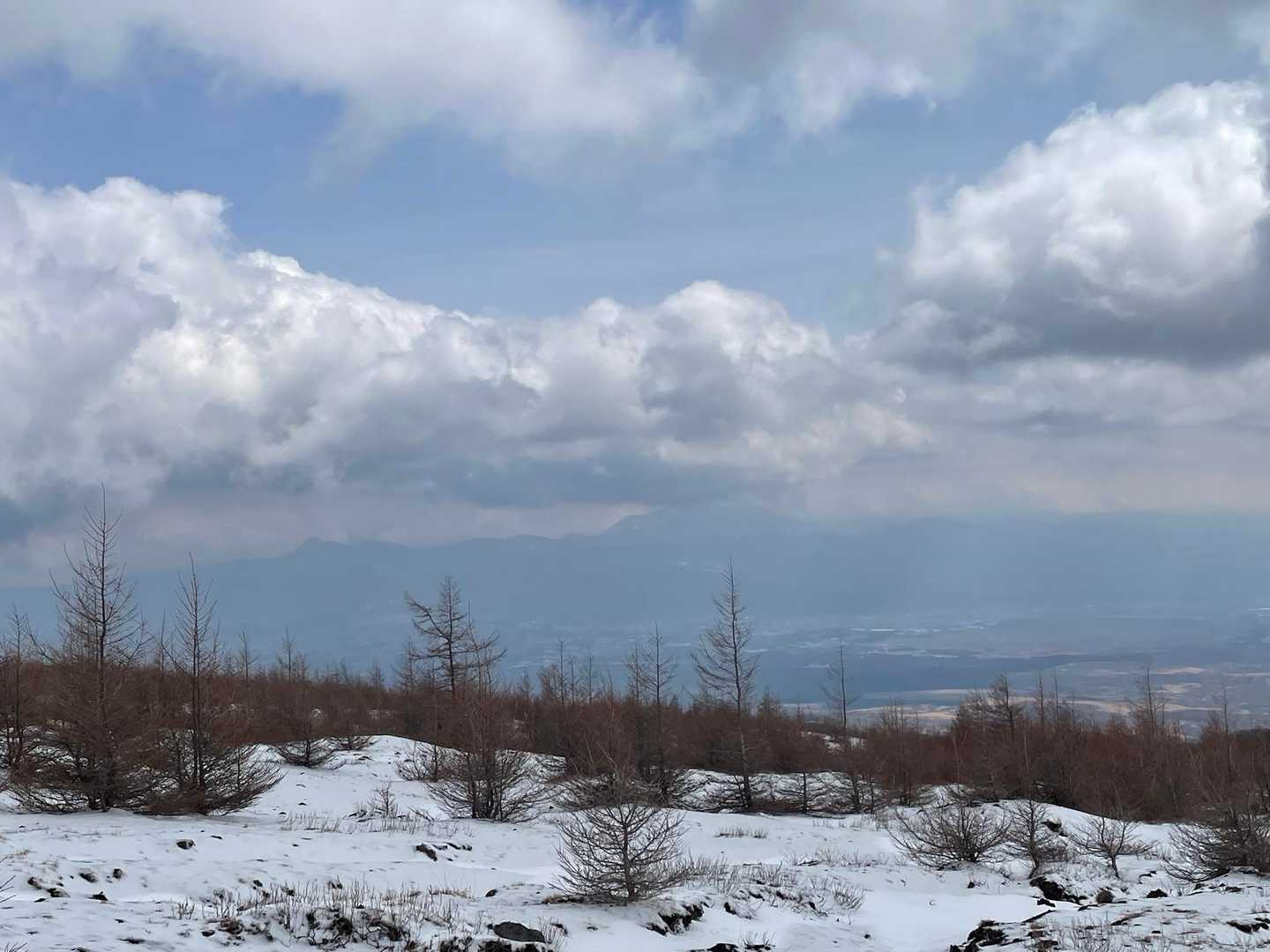 この向こうには金時山と箱根の山、その向こうに駿河湾だよ〜ってみんみんが教えてくれる😊