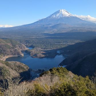 精進湖のイビツな形と
精進民宿村がアクセントになっている