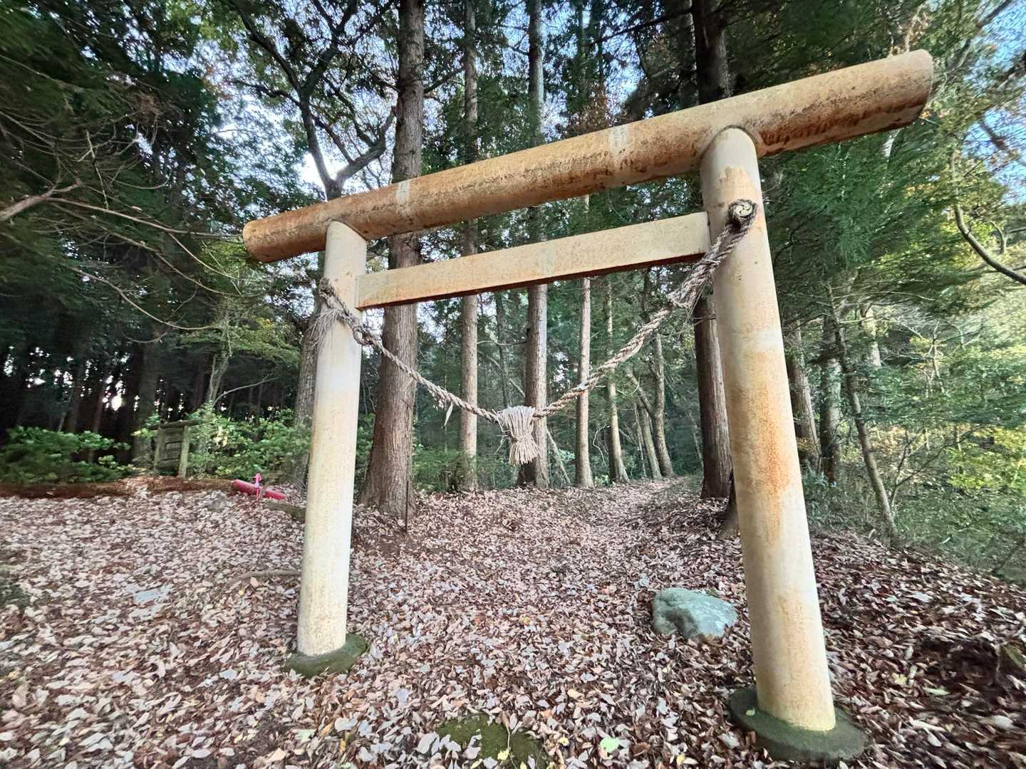 なんか不気味な鳥居。
