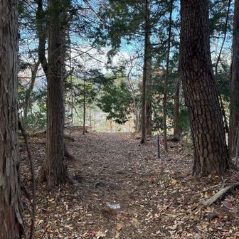 その裏がピーク