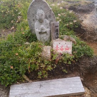 さと