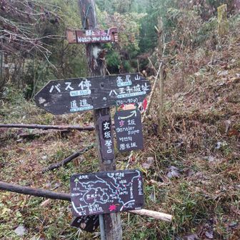 心源院尾根のかわいい道標のある取り付き