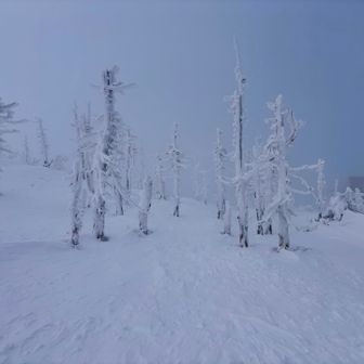 スタートからこんな