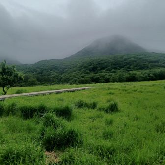 タデ原湿原