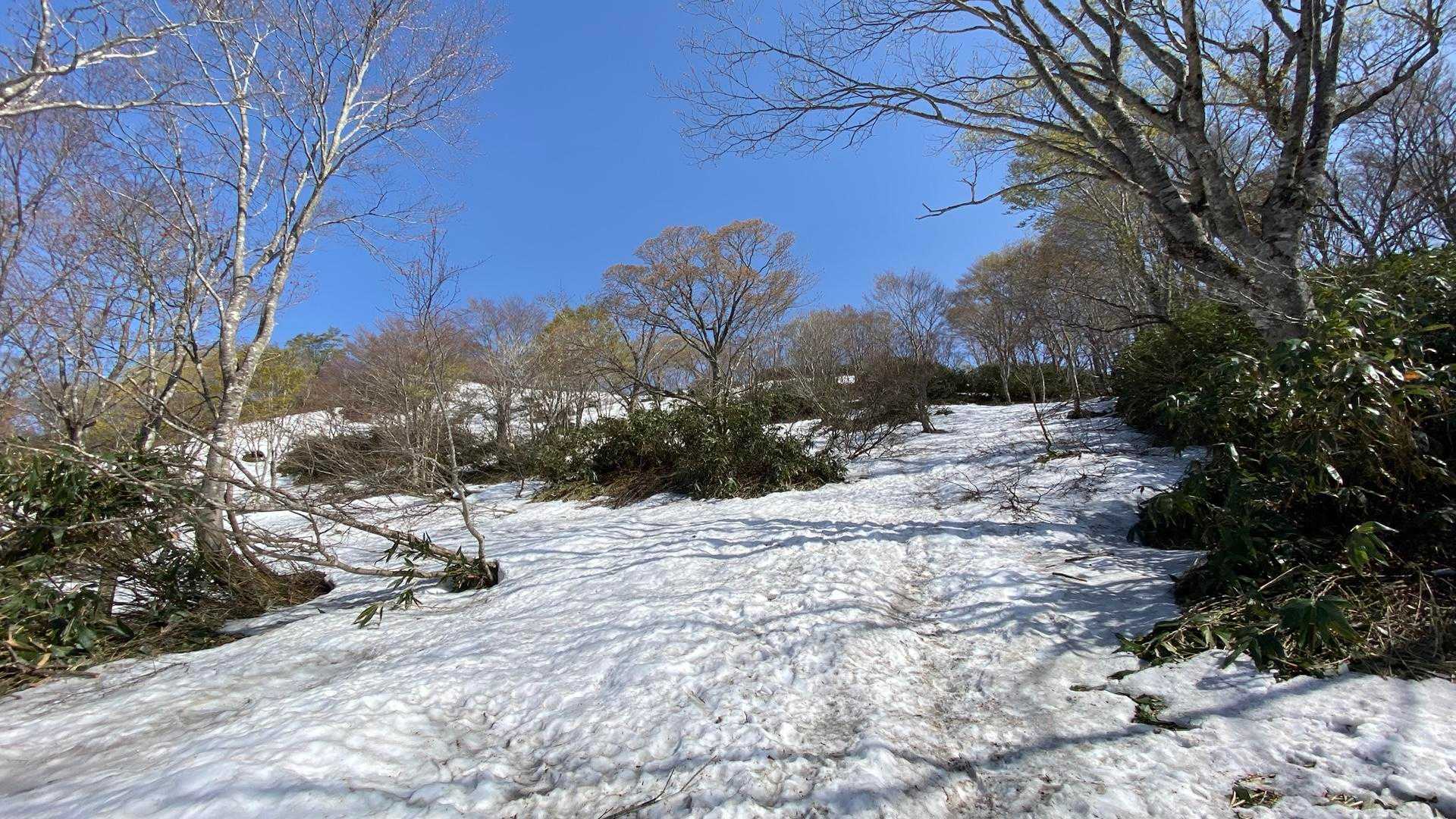キック入れても刺さらないくらい雪が固い！
なんとかツボ足で