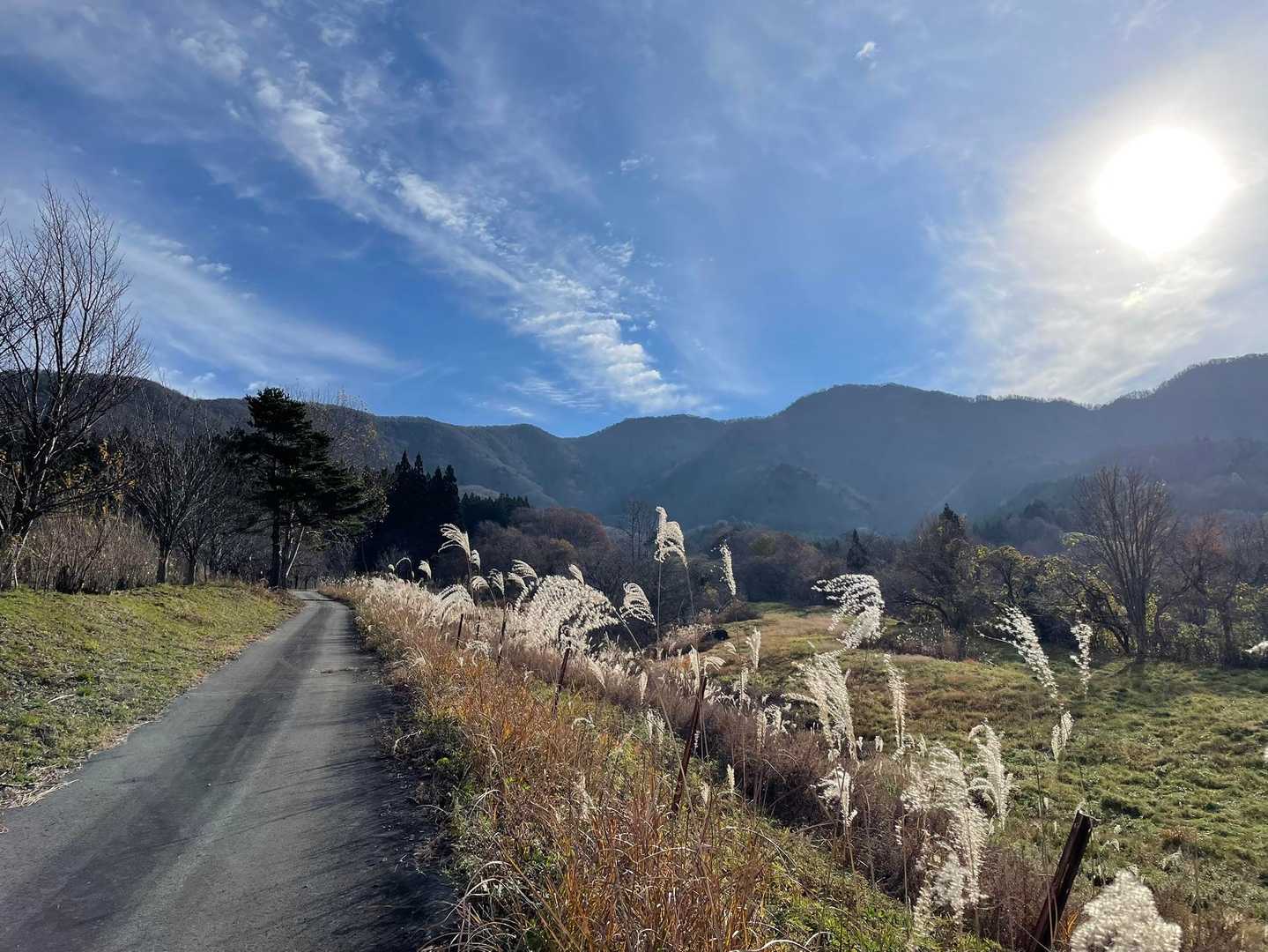 瀧山 周回コースの写真