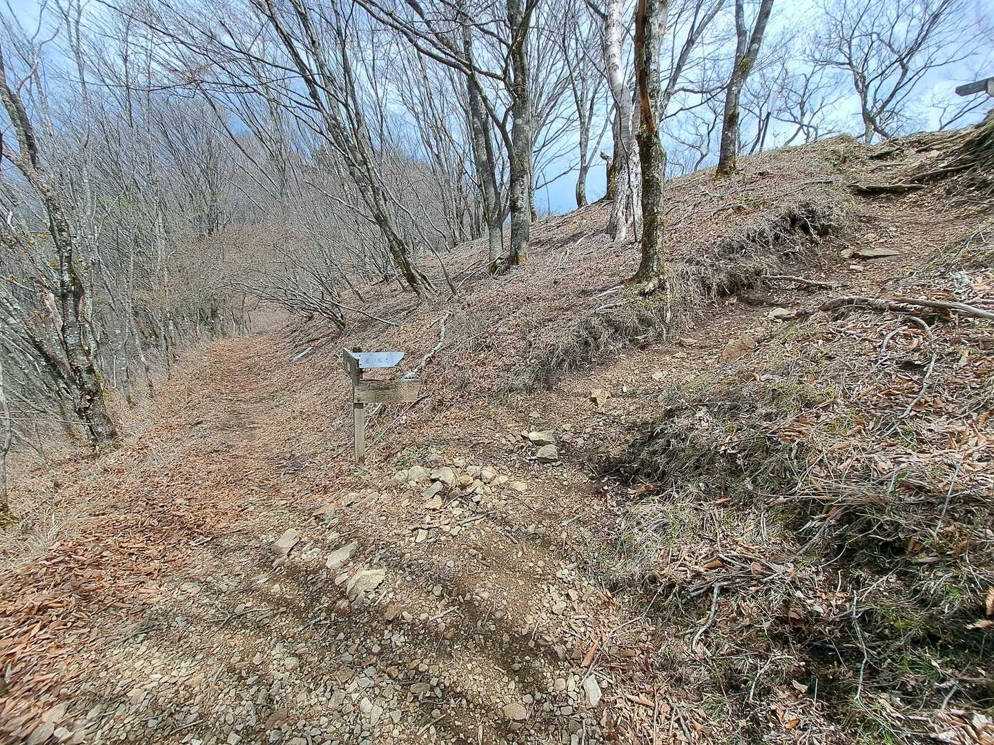 鷹ノ巣山-水根山-城山-六ツ石山-長尾ノ頭 周回コースの写真