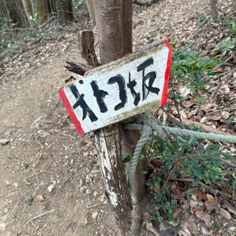 男は黙ってオトコ坂